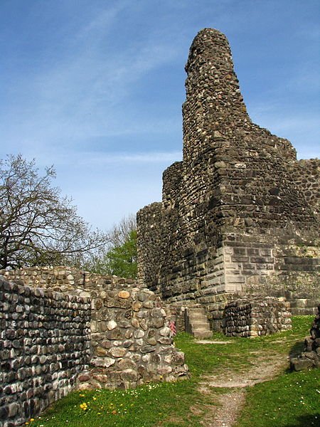 Ruine Alt-Regensberg