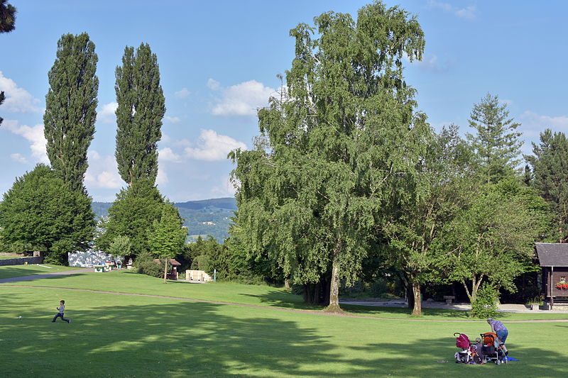 Park im Grüene