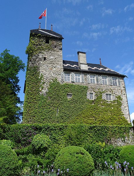 Schloss Buonas