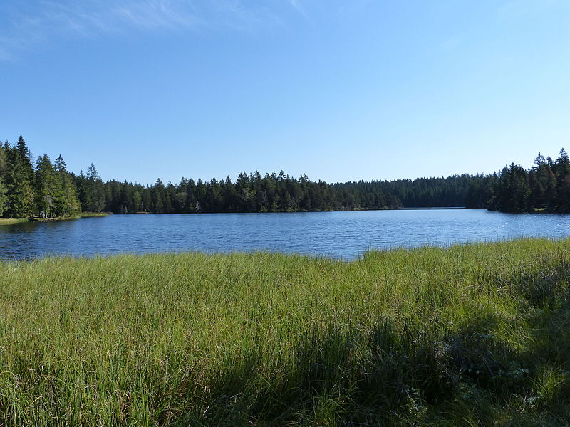 Etang de la Gruère