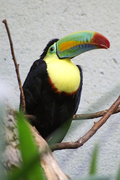 Zoo Zürich