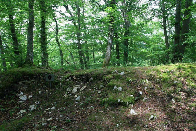 Ruine Iberg