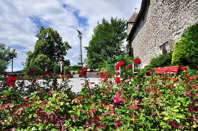 Rosengärten in Rapperswil