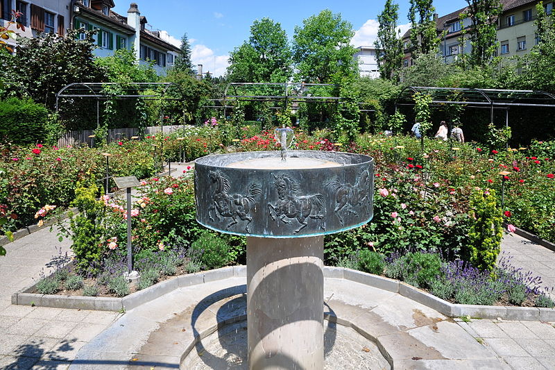 Rapperswil Rose Gardens