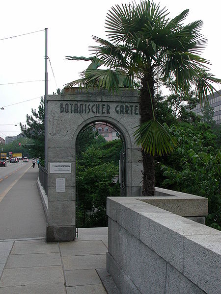 Jardin botanique de Berne