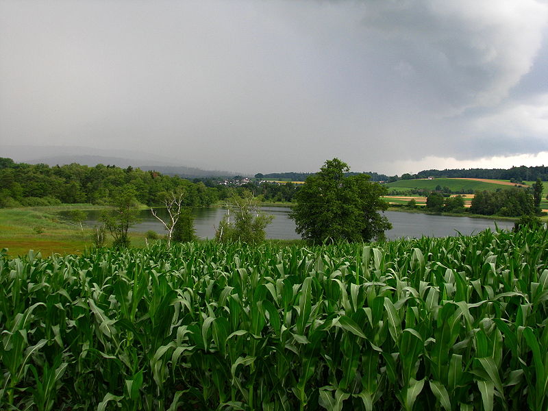 Katzensee