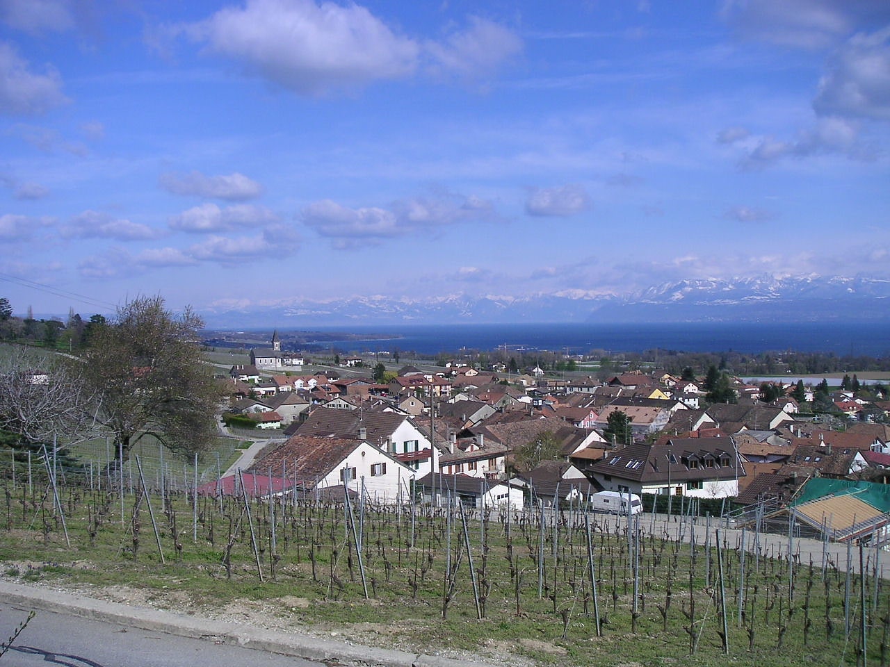 Gilly, Suisse