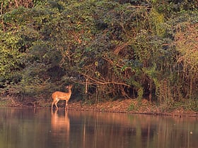 Park Narodowy Komoé