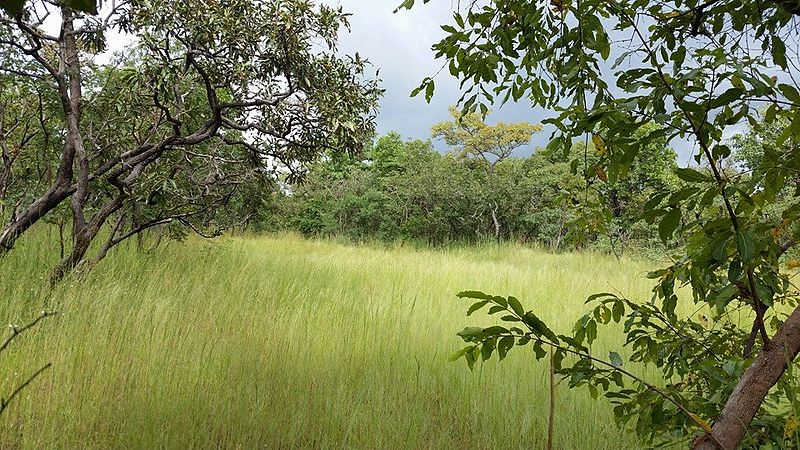 Nationalpark Comoé