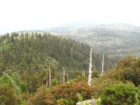 Nationalpark Alerce Costero