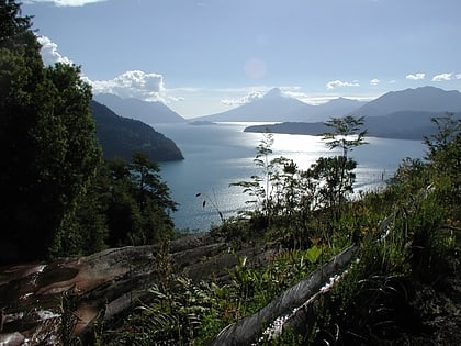 lac todos los santos parc national vicente perez rosales