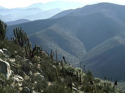 Las Chinchillas National Reserve