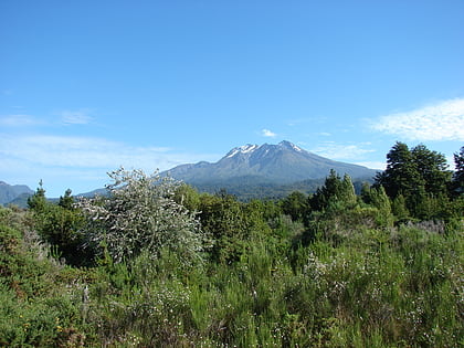 llanquihue national reserve