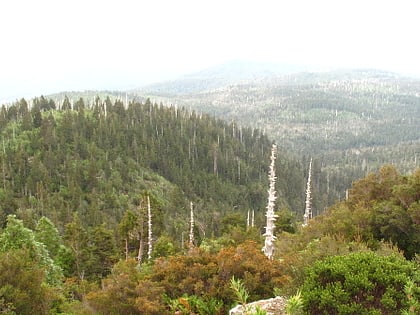 Cordillera Pelada