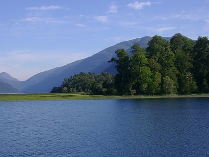 Pirihueico Lake