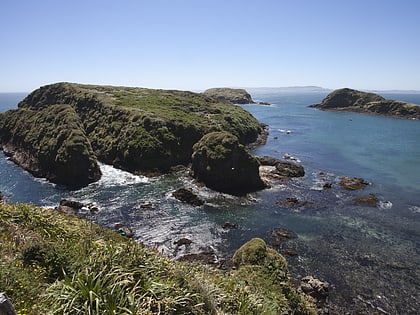 Islotes de Puñihuil Natural Monument