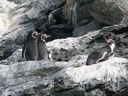 Réserve nationale Pingüino de Humboldt
