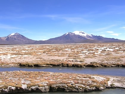 volcan puquintica reserva nacional las vicunas