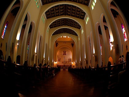 cathedral of the most holy conception concepcion