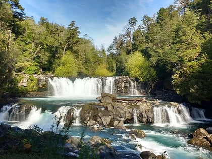 neltume bosques templados lluviosos de los andes australes