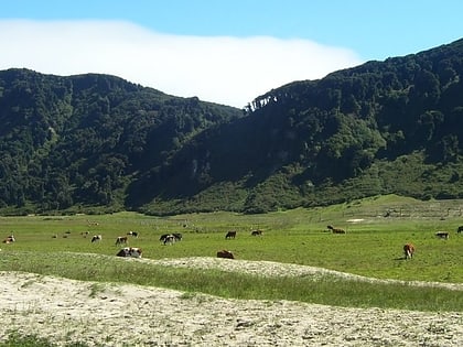 Reserva nacional Isla Mocha
