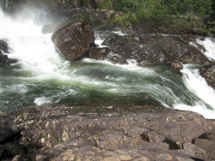 parque nacional alerce andino bosques templados lluviosos de los andes australes