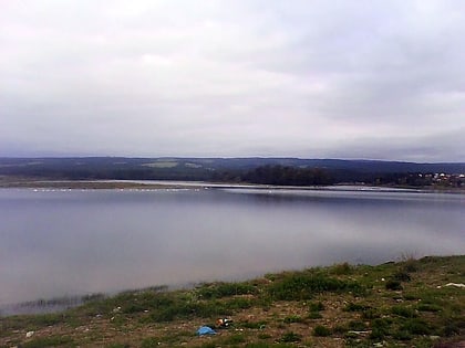 Petrel Lake