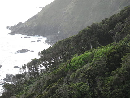 Área costera protegida Punta Curiñanco