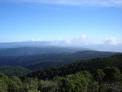 kordyliera nadbrzezna park narodowy la campana