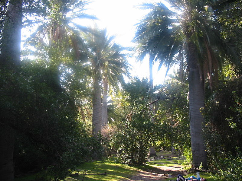 Parc national La Campana