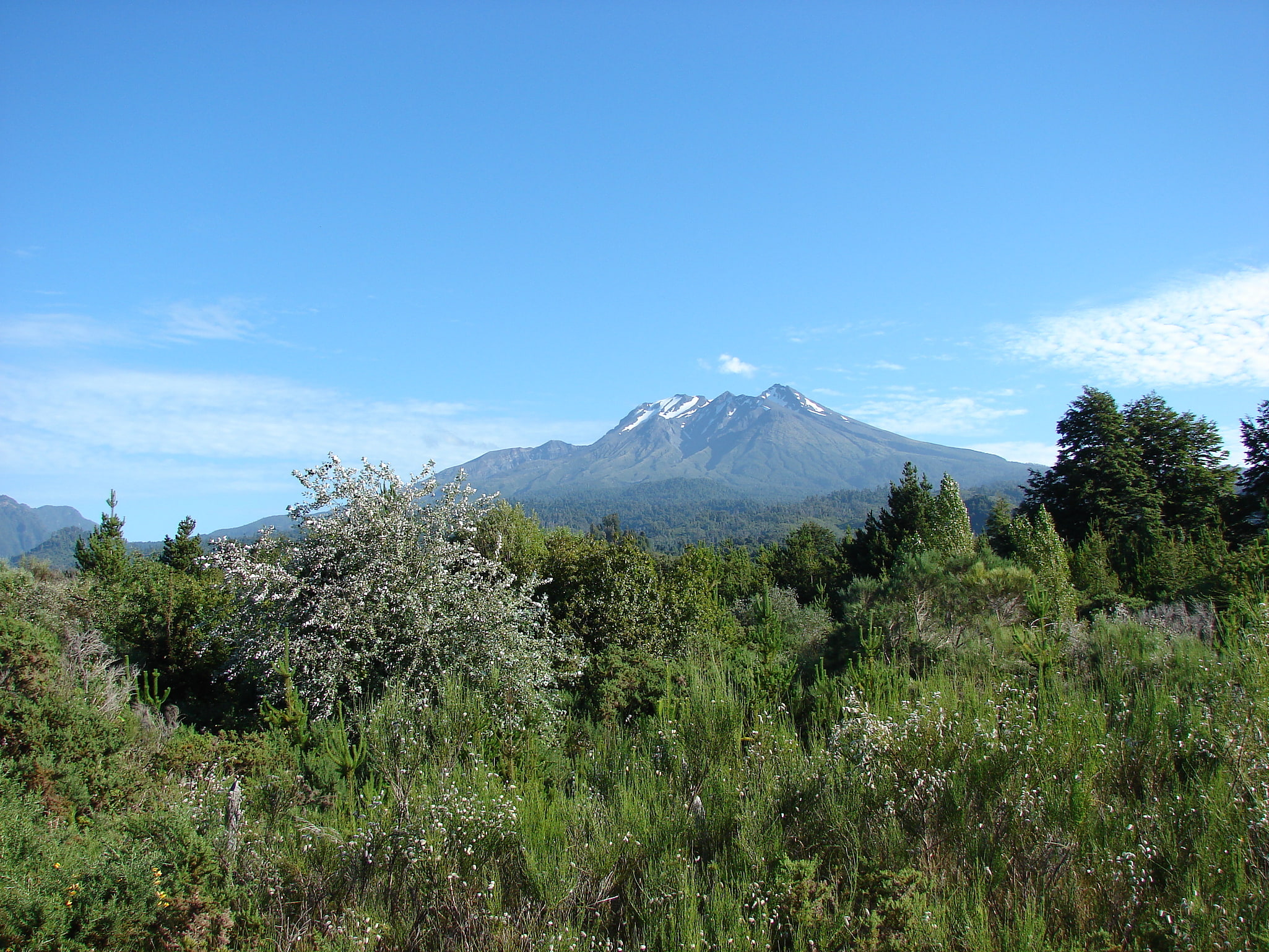 Reserva nacional Llanquihue, Chile