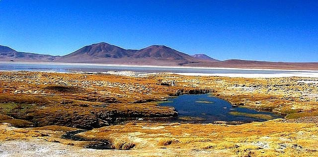 Salar del Huasco, Chili