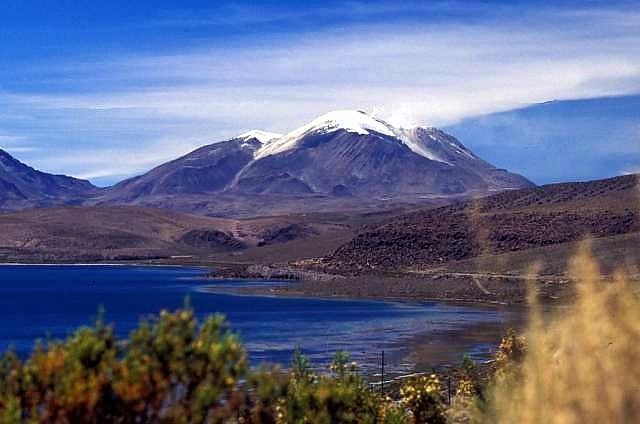 Las Vicuñas National Reserve, Chili