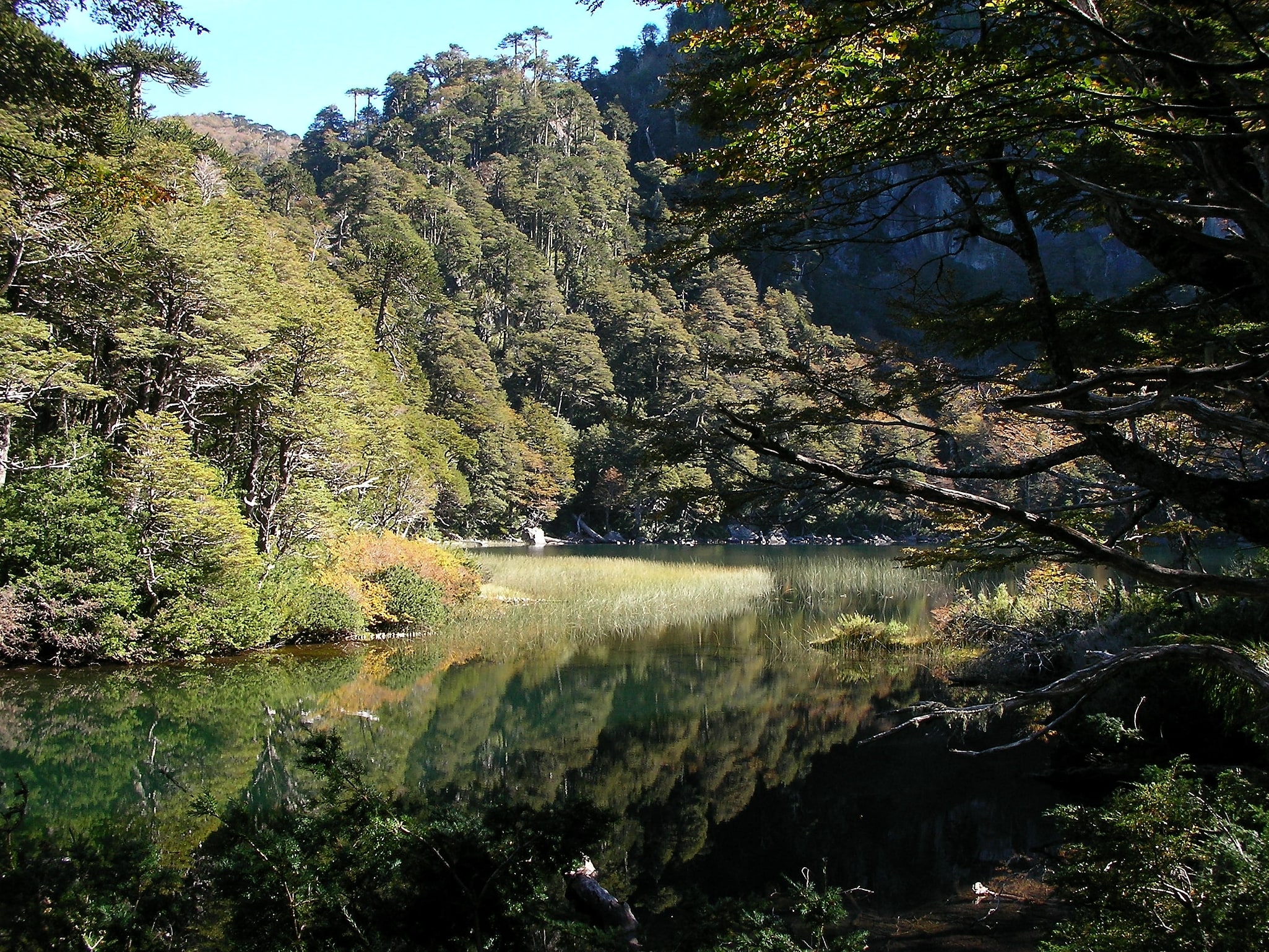 Nationalpark Huerquehue, Chile