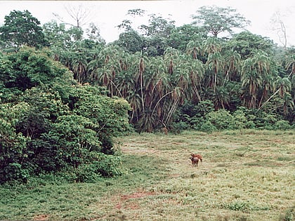 Parque nacional de Lobéké