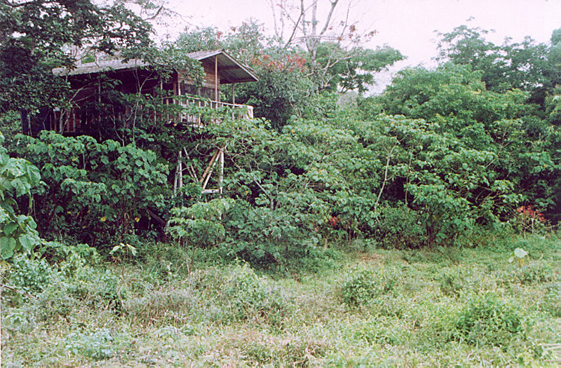 Parc national de Lobéké