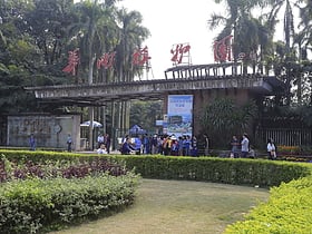 jardin botanico del sur de china canton