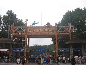 nanjing hongshan forest zoo nankin