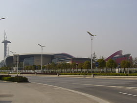 nanjing olympic sports center gymnasium