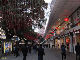 Park Lane Shopper's Boulevard