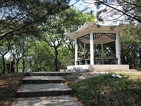 Qingnianhu Park