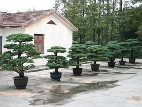 Jardín botánico de Shanghai