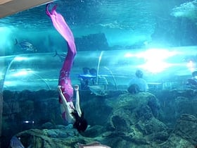 nanjing underwater world