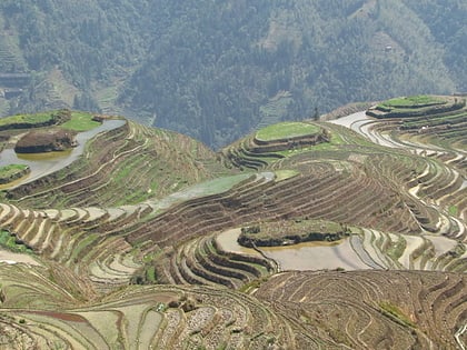 rizieres en terrasses de longsheng