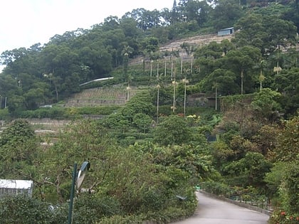 granja kadoorie y jardin botanico hong kong