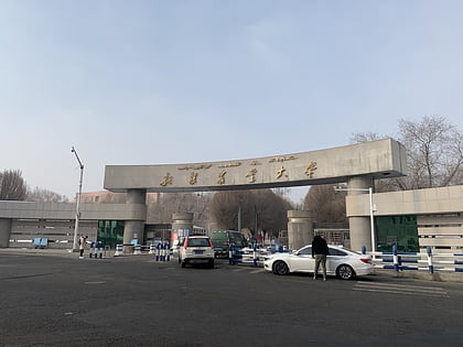 xinjiang agricultural university urumqi