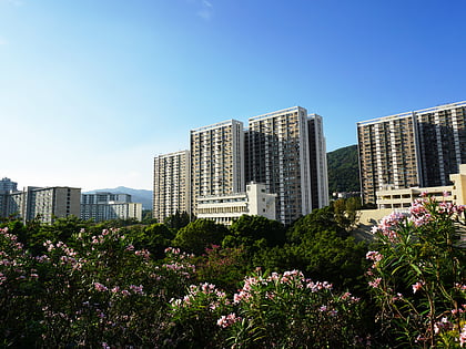 shek wai kok hongkong