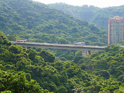 liu to bridge hongkong
