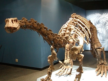 lufeng dinosaur museum