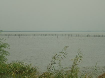 yangcheng lake szanghaj